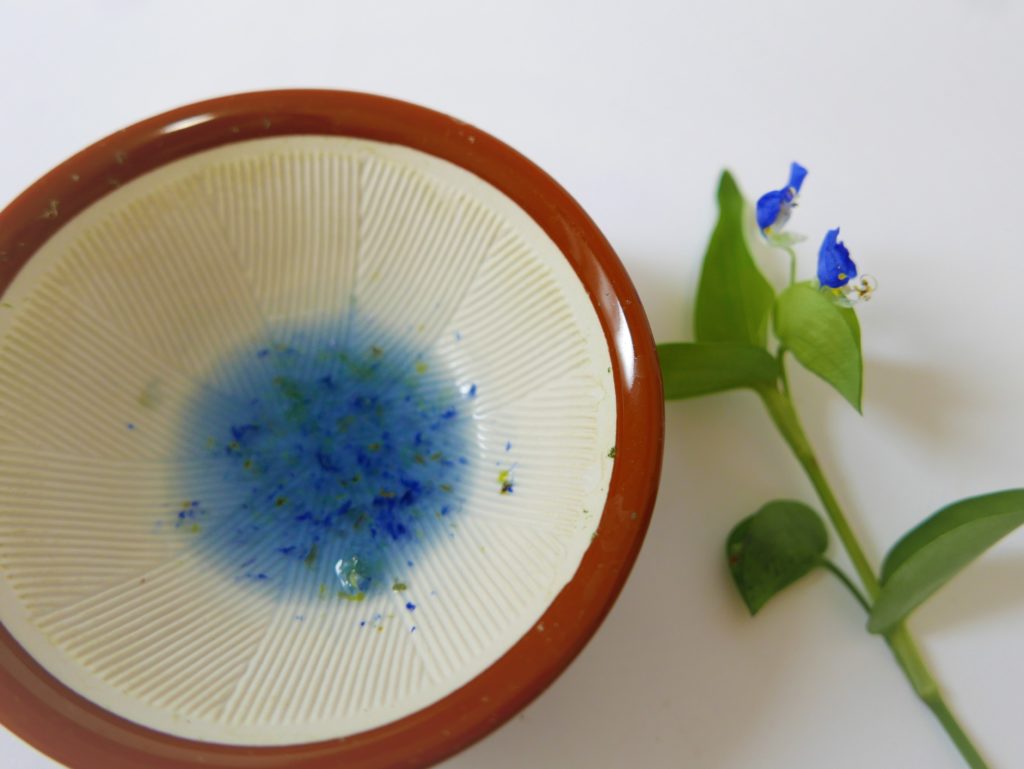 植物をつかった 色水遊び 花 葉 実の種類と色見本 Bonのおでかけブログ