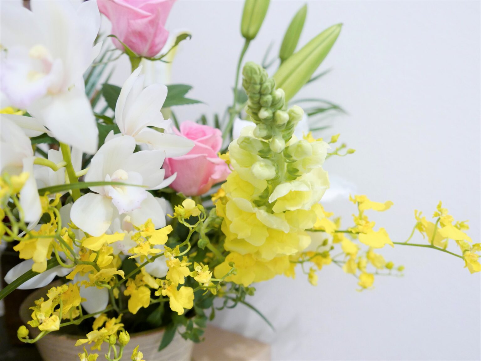 退職 祝い 女性 60 代 Capeco Africa